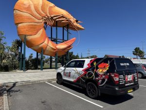 shock-busters-fire-safety-ballina