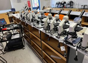 shock-busters-electrical-test-tag-south-east-qld (33)