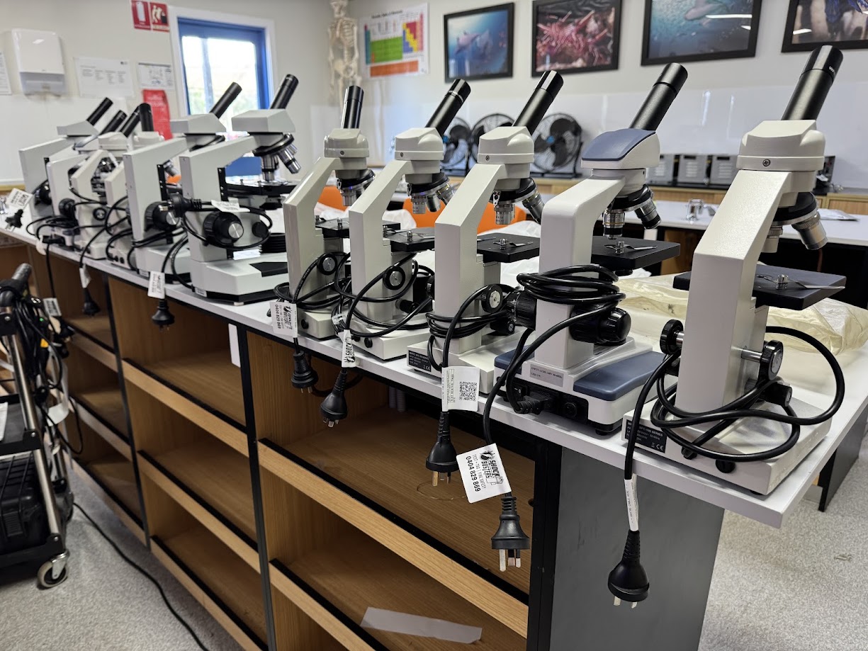 Shock Busters test and tag NSW and South East QLD - thorough testing in a laboratory